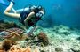 Cham Island With Snorkelling Or Diving 2 Times