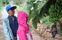 From Chania: Family Adventure in the Cretan Countryside