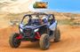 Beach and Desert Premium X3 UTV Tour in Cabo