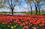 Chicago Suburbs Hidden Gems: Small-Group Exploration Tour