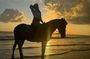Bali Sunrise Horse Riding with Hotel Transfer