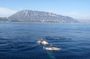 Catamaran ride with aperitif and white wine from Denia