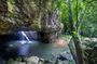 Springbrook andTamborine Rainforest Tour Incl Natural Bridge and Glow Worm Cave