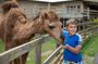 White Ridge Farm: Day Entry ticket