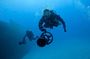 Guided Diving in the Heart of the Mediterranean Sea