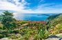 Grasse French Riviera Tour of Perfume and Wine
