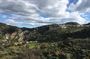 Rethymno 4x4 Safari: Tastes & Farm Experience
