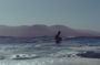 Surf Lessons in Imsouane with Local Trainer