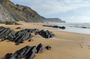 Half Day Nature Walk and Picnic at West Coast Algarve