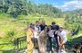 Experience Ubud Instagram Highlight with Purification Ritual