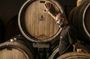 Half Day Wine Experience Tour from Ravenna