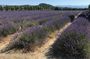 The hilltop villages of the Luberon