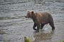 12 Group Yellowstone 2-Day Tour | West Yellowstone Round Trip
