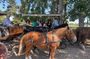 Colchagua Valley : Montes & Clos Apalta - Private Transportation