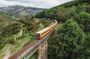 Dunedin Shore Excursion: Taieri Gorge Railway & City Sightseeing