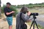 Birding San Jose Estuary Los Cabos Mexico