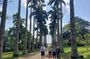 The Aburi Botanical Gardens and Scenic Tour