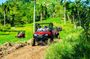 Adventure Bundle: Monkeyland, Ziplines & Buggies Punta Cana