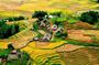 From Sapa: 1 Day Trekking to Terrace field and local Village