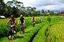 Bali Bike Adventure Tour