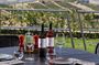 Discover Greek Wine Country: Meal and Wine Tasting at Wine Estate