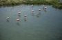Wetlands Walking Tour in Isabela Island