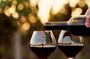 Discover Wine Tasting Lebanese Tour Experience