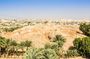 Jericho, Jordan River, Mt. Temptation, and Dead Sea Tour from Tel Aviv