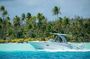 Reef Discovery Private Half Day Lagoon Tour