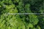 Mistico Park Hanging Bridges and Waterfall Tour From La Fortuna