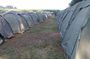 Bushfire Wild Rhythms of Southern Africa Overland Adventure