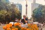 Cheerful Introduction Walking Tour in Roma, Condesa & Juarez