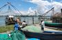 Fort Cochin & Cochin City Experience in Private AC Car