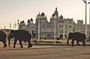 Best of Mysore, UNESCO Somnathpur Temple & Srirangapatna Day Tour