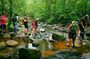 Sinharaja Rainforest Trekking Private Day Trip with Local Lunch