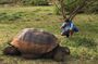 4-Day Galapagos Island Hopping Tour in Santa Cruz