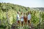 Haras de Pirque Winery Tour, Wine Tasting & Transportation