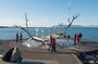 Private Reykjavik City Tour in Multi-Language Guide Options