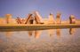 Ras Mohammed National Park Half Day Tour by Bus From Sharm