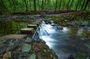 From Belfast: Private Mourne Mountains Scenic Day Tour