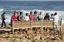 Cape Town Full-Day Cape of Good Hope, Penguins Small Group Tour