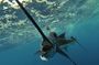 Four-Hour Fishing Tour in Dominica