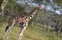 3-Day Lake Mburo & Queen Elizabeth National Parks