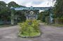 Jungle Adventure - Cross River National Park