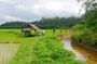 Chiang Mai Rice Fields Biking Tour