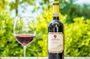 Guided tour in San Miniato and wine tasting!