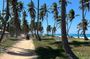 Half Day Safari and ATV or horses from Punta Cana