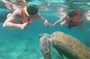 Cancun: Small-Group Akumal Turtle Snorkel & Cave Cenote Adventure