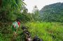 Ba Be Lake Traveling by Van 3D2N from Cao Bang Weekend only