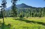 5 Day VIP Small Group Tour of Yellowstone and Grand Teton